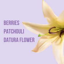 Load image into Gallery viewer, BRUME LEADING YOU ON